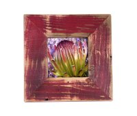 Landhaus Bilderrahmen 10x15 cm Rot aus recyceltem Alt-Holz