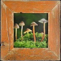 Vintage Bilderrahmen 21x30 cm Orange aus recyceltem Alt-Holz