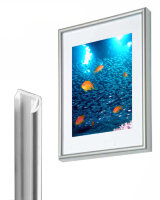 Bilderrahmen Kunststoff Silber 40x50 cm, 5er Pack