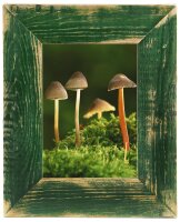 Eleganter Bilderrahmen 13x18 cm – Grün – Handgefertigt aus Altholz von Mein Landhaus